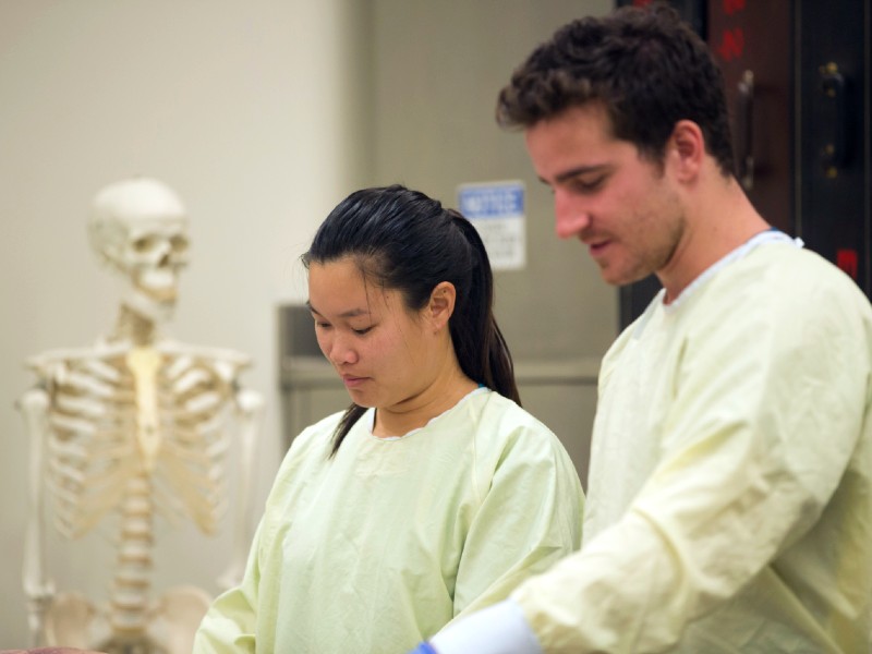两个学生穿着保护褂子与解剖骨骼